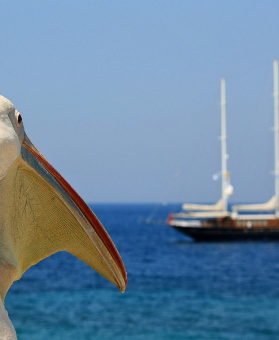 Görögországi nyaralás Paralián