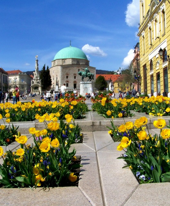 A Mecsek fővárosa, Pécs 1 nap